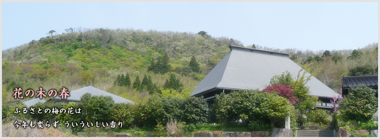 ふるさとの梅の花は 今年も変らず ういういしい香り