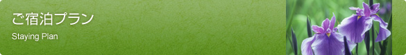 ご宿泊プラン